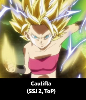 Zzzzz 17842266501000082227 — Dragon Ball Powerscaling characters option 744