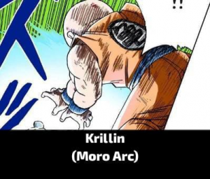 Zzzzz 17842268801000082419 — Dragon Ball Powerscaling characters option 876