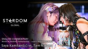 Zzzzz 1785442379sayatam — WWE Universe Wrestling Match Tierlist option 13