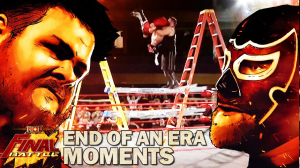 Zzzzz 1786135976steengenerico2 — WWE Universe Wrestling Match Tierlist option 20