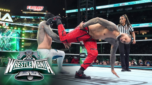 Zzzzz 1786223108jeyjimmy — WWE Universe Wrestling Match Tierlist option 22