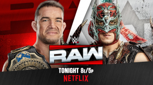 Zzzzz 1789507278gablelee — WWE Universe Wrestling Match Tierlist option 41