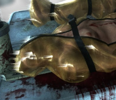 Zzzzz 1784871539screenshot 2026 07 24 13834 Am — Outlast & Outlast Trials Characters option 63