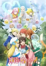 300+ animes — option 20