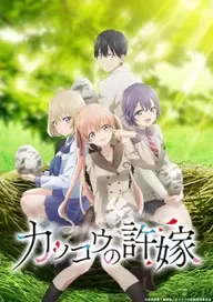 300+ animes — option 61