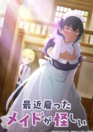 300+ animes — option 78