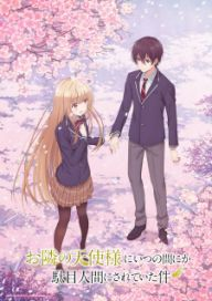 300+ animes — option 111