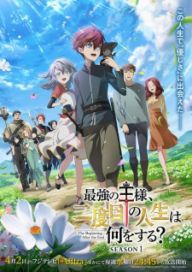 300+ animes — option 213