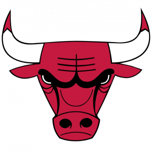 Bulls — NBA Teams 2026 option 3
