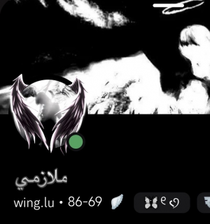 Img7627 — تقييم اعضاء مون لايت الجزء الثاني option 48
