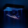 1336535 Escape Room180001 — Albums With Blue Covers option 20