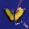 1356003 Love Is Like153259 — Albums With Blue Covers option 22