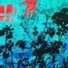 1406658 Flowers Dont Growl071251 — Albums With Blue Covers option 26