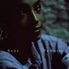 40581 Promise190351 — Albums With Blue Covers option 83