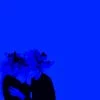 743062 Beyond The Melancholic Veil1338 — Albums With Blue Covers option 130