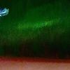 1293750 Ultur212854 — Albums With Green Covers option 7