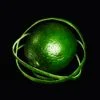 1339937 Bt6191445 — Albums With Green Covers option 8