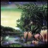 15092 Tango In The Night194135 — Albums With Green Covers option 12