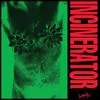 186766 Incinerator — Albums With Green Covers option 19