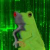 1932182 Mystic Amphibian 20081910 — Albums With Green Covers option 21