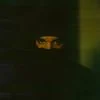 237585 Dark Lane Demo Tapes 1 — Albums With Green Covers option 29