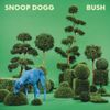 25821 Bush085251 — Albums With Green Covers option 30