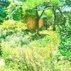 452832 Rough And Beautiful Place — Albums With Green Covers option 37