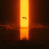Zzzzz 17889030941505981 Loss055945 — Albums With Orange Covers option 15
