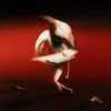 1311691 Pain To Power091408 — Albums With Red Covers option 18