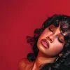 1438348 Pretty Idea145001 — Albums With Red Covers option 24
