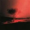 1526856 Piss In The Wind150209 — Albums With Red Covers option 29
