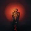 31377 Barter 6230324 — Albums With Red Covers option 65