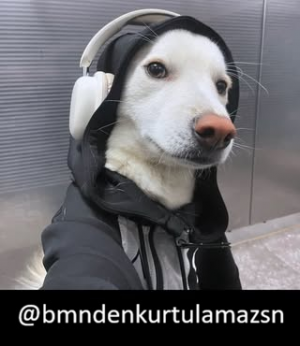 Zzzzz 1786703380bmndenkurtulamazsn — Threads Pp/Kullanıcı Tierlist option 5
