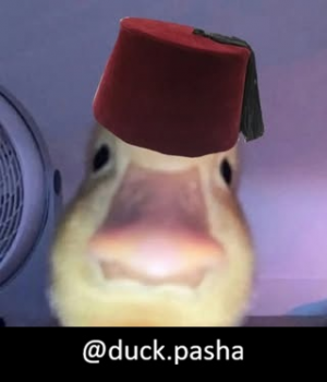 Zzzzz 1786805067duckpasha — Threads Pp/Kullanıcı Tierlist option 12
