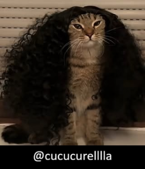 Zzzzz 1788103562cucucurelllla — Threads Pp/Kullanıcı Tierlist option 123