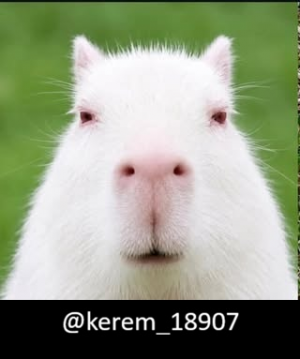 Zzzzz 1788103784kerem18907 — Threads Pp/Kullanıcı Tierlist option 34