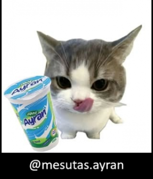 Zzzzz 1788103785mesutasayran — Threads Pp/Kullanıcı Tierlist option 35