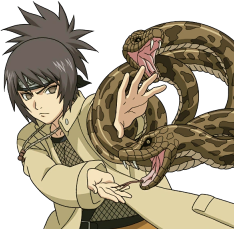 Ankofull — Naruto Senki (ZxAkito) Characters option 1