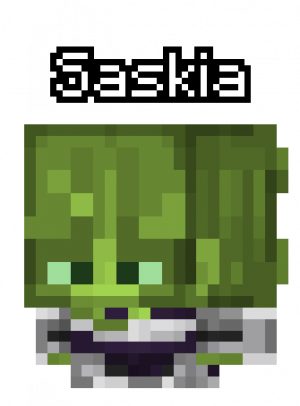Zzzzz 1787493394saskia — ChrySMP Arc II Characters option 45