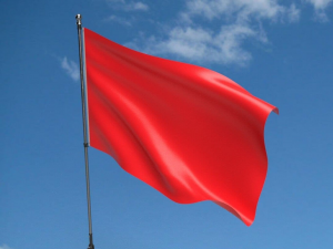Plain 5ft X 3ft Red Flag 1 4109 P — RED FLAGS en Español option 160