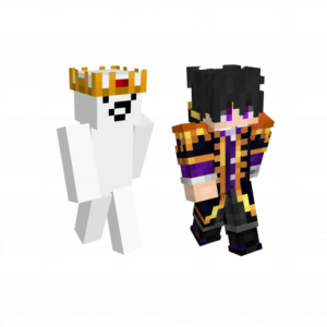 Untitled10620260911062707 — Fluxarata Skins Pairing option 1