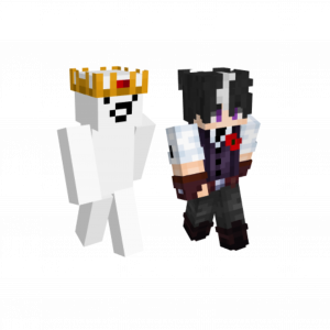 Untitled10620260911063206 — Fluxarata Skins Pairing option 8