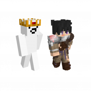 Untitled10620260911063504 — Fluxarata Skins Pairing option 22