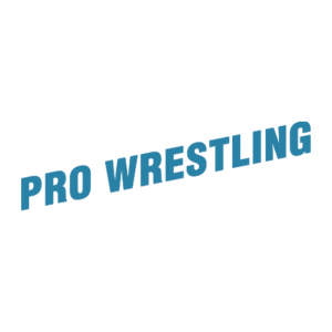 Zzzzz 1790361356pro Wrestling — All Nintendo Franchises (2026) option 82