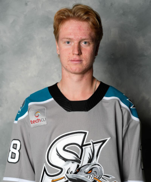 Img1170 — San Jose Sharks 26/27 players option 23