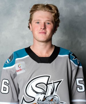Img1171 — San Jose Sharks 26/27 players option 24