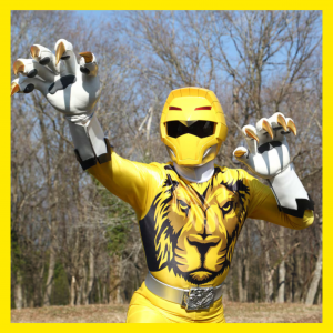 Zzzzz 17768047131000048010 — All Super Sentai Ranger option 258