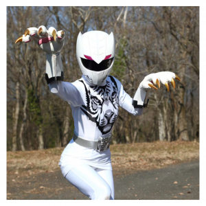 Zzzzz 17768132341000048229 — All Super Sentai Ranger option 260