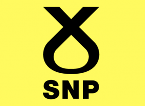 Zzzzz 1709508447snp Vertical — Political parties in the UK option 14