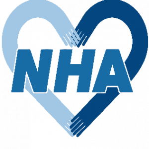 Zzzzz 1718144829national Health Action Party — Political parties in the UK option 46